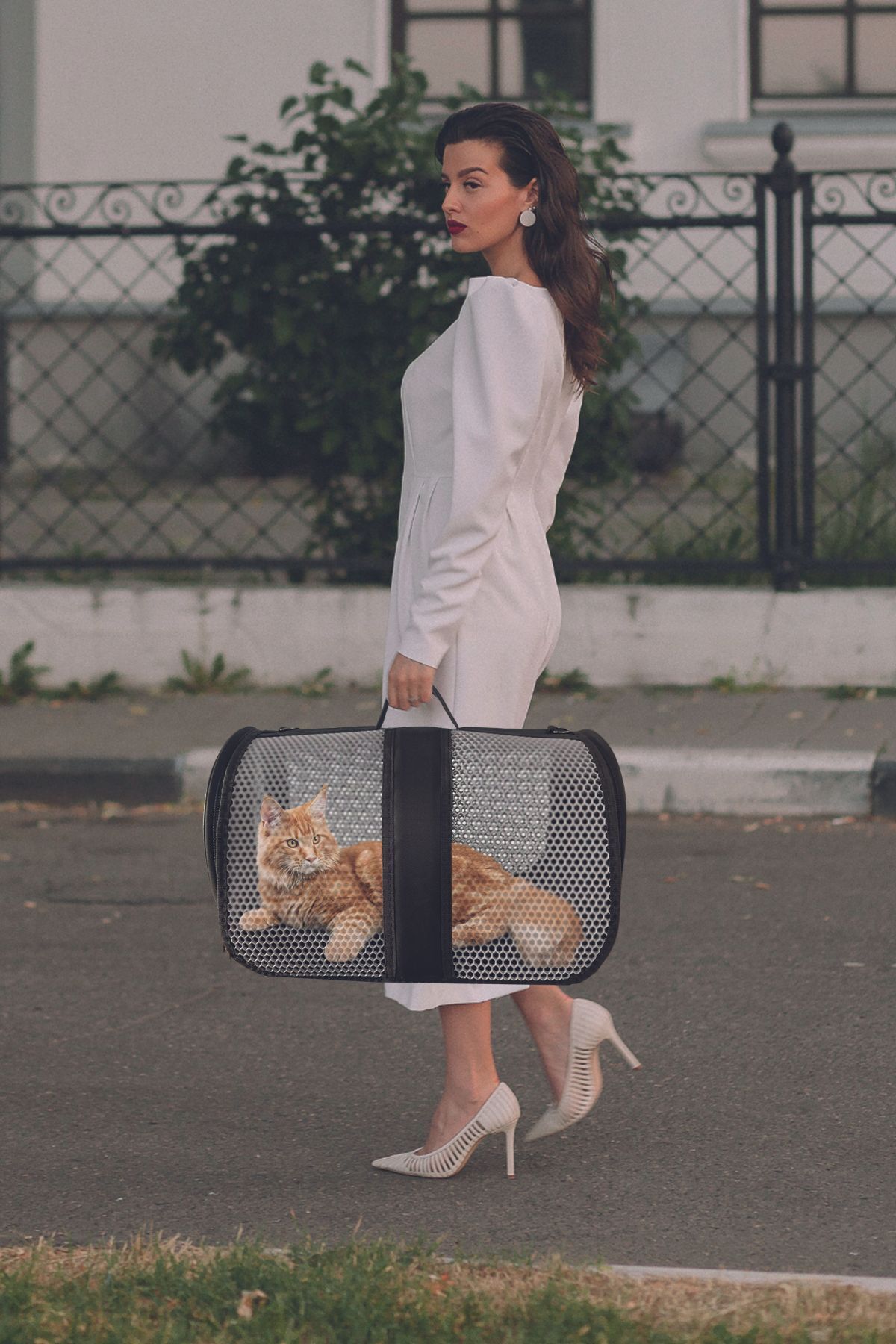 Hava Alabilen ,Pvc Petek Dokulu, Uçuşlar Için Uygun Evcil Hayvan Taşıma Çantası, Kedi Taşıma Çantası