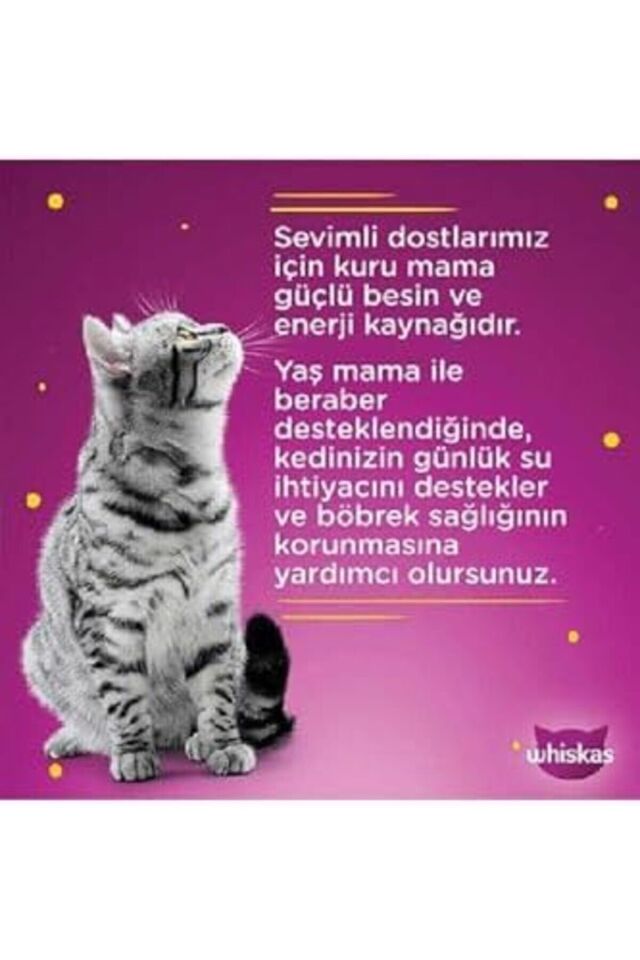 Whiskas Pouch Pure Delight Jöle İçinde Tavuklu ve Somonlu Yetişkin Kedi Konservesi 4x85 Gr