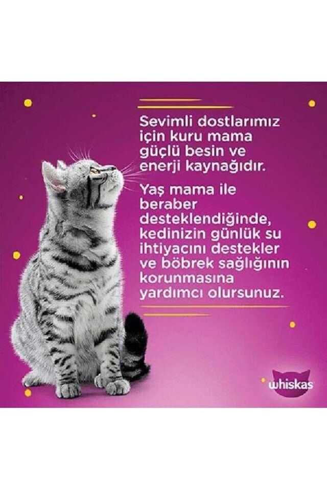 Whiskas Pouch Pure Delight Jöle İçinde Tavuklu ve Somonlu Yetişkin Kedi Konservesi 4x85 Gr