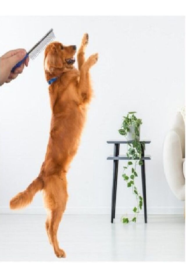 Tüy Açıcı Kedi Köpek Tarağı