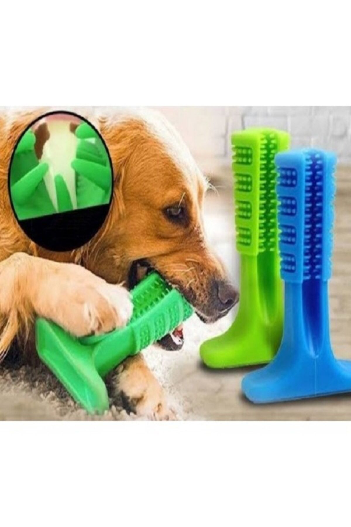 Köpek Diş Fırçası