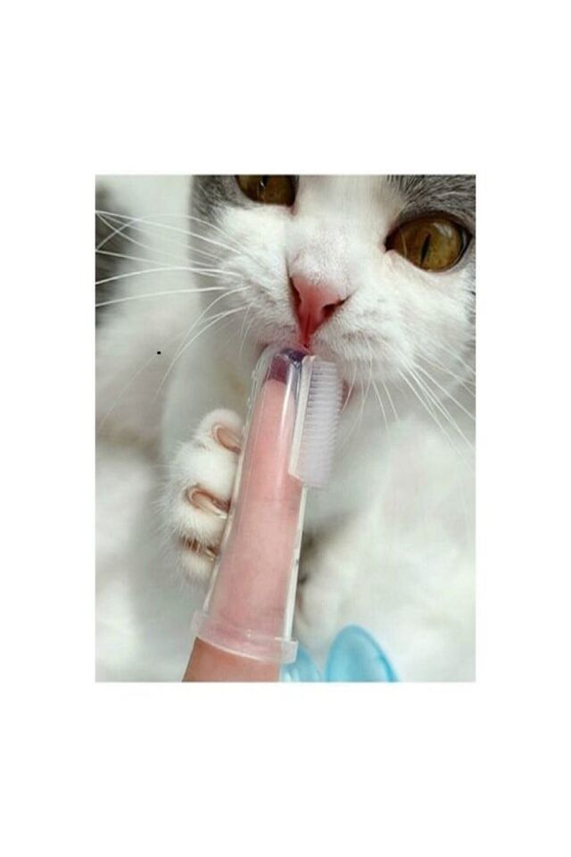 Kedi Ve Köpek Diş Fırçası Evcil Hayvan Diş Bakım Fırçası Yumuşak Diş Tartar Slikon Diş Fırçası