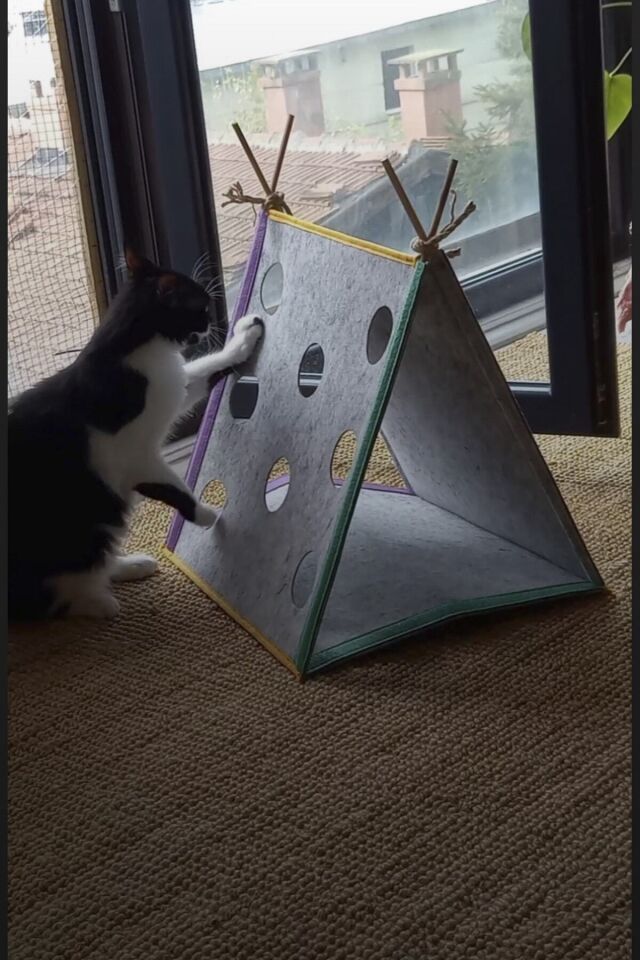 Kedi Oyun Çadırı Interaktif Kedi Evi Cattent Kedi Çadırı