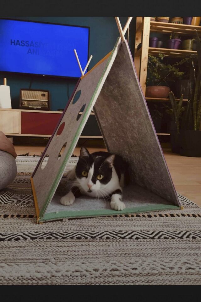 Bypet Kedi Oyun Çadırı Interaktif Kedi Evi Cattent Kedi Çadırı