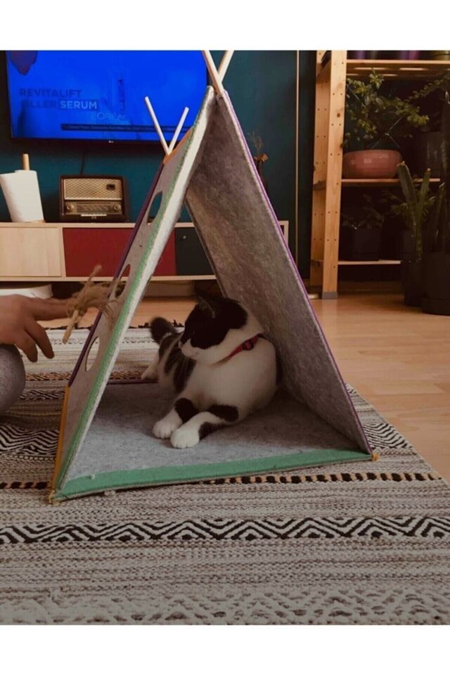 Bypet Kedi Oyun Çadırı Interaktif Kedi Evi Cattent Kedi Çadırı