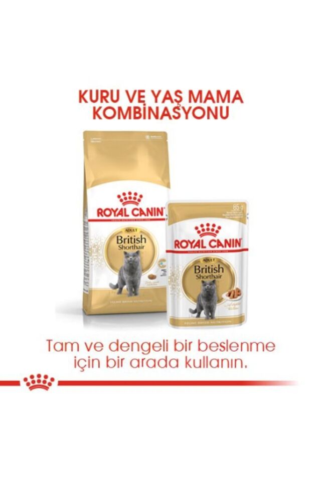 British Shorthair Adult Yetişkin Kedi Maması 2 Kg