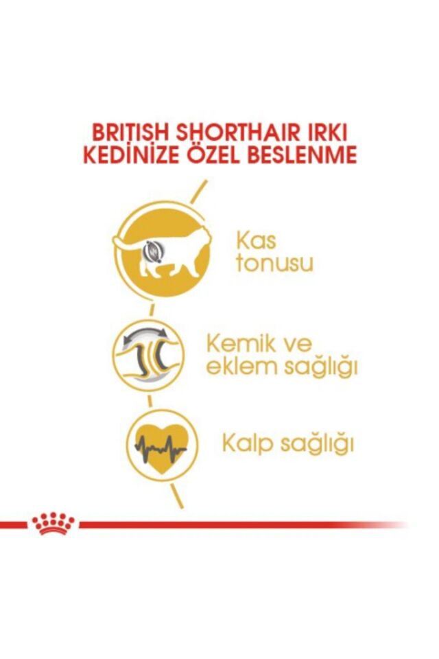 British Shorthair Adult Yetişkin Kedi Maması 2 Kg