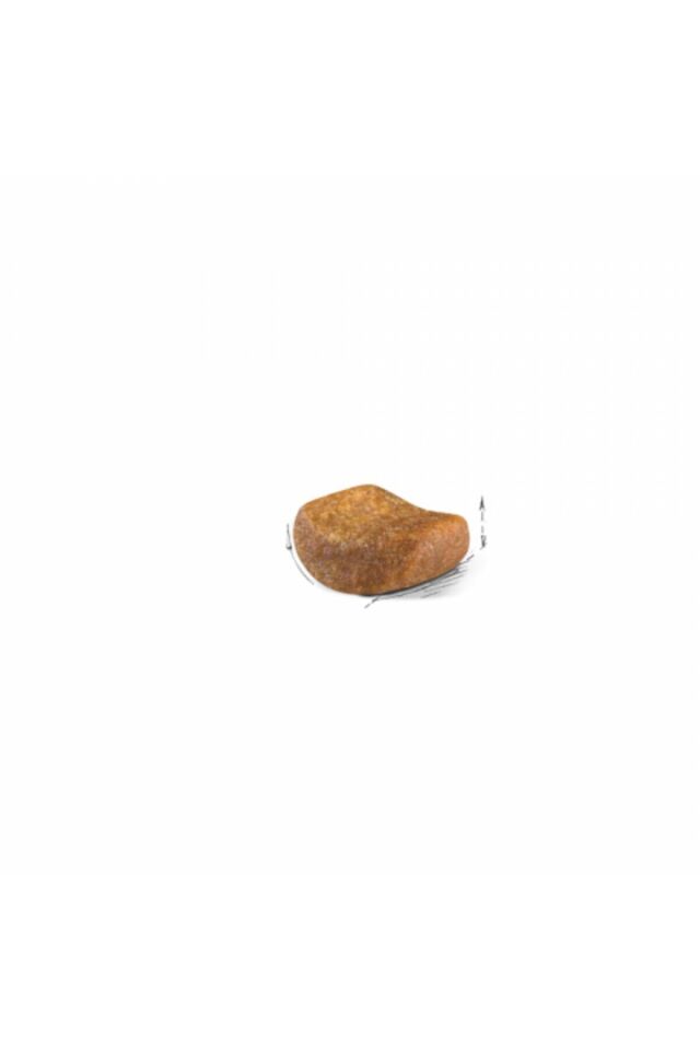 British Shorthair Adult Yetişkin Kedi Maması 2 Kg