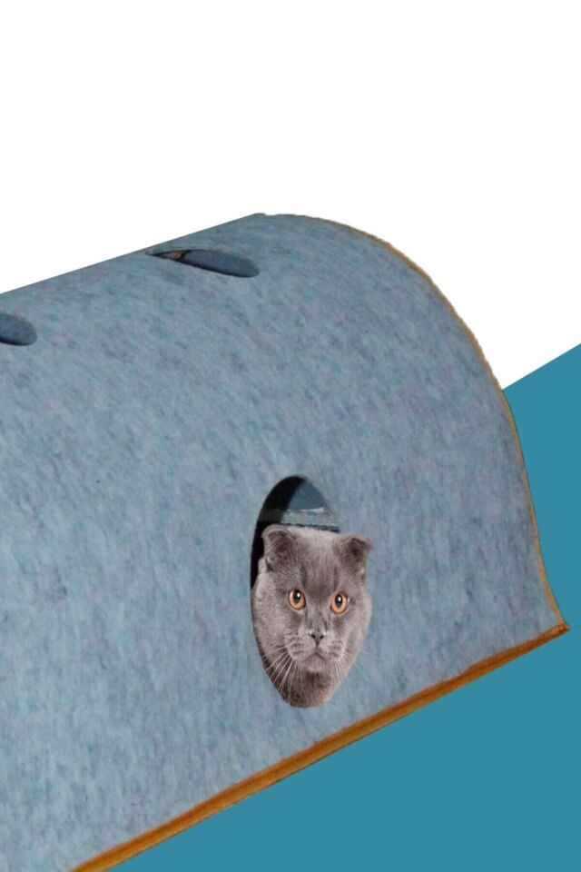 Bypet Cathide Kedi Oyun Ve Saklanma Tüneli 100 Cm Büyük Boy