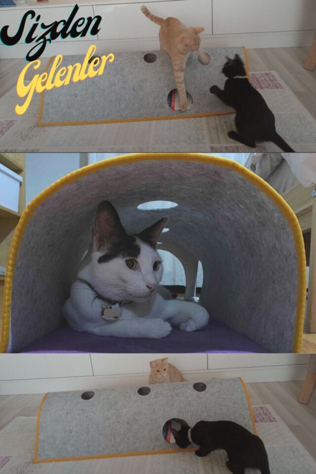 Bypet Cathide Kedi Oyun Ve Saklanma Tüneli 100 Cm Büyük Boy