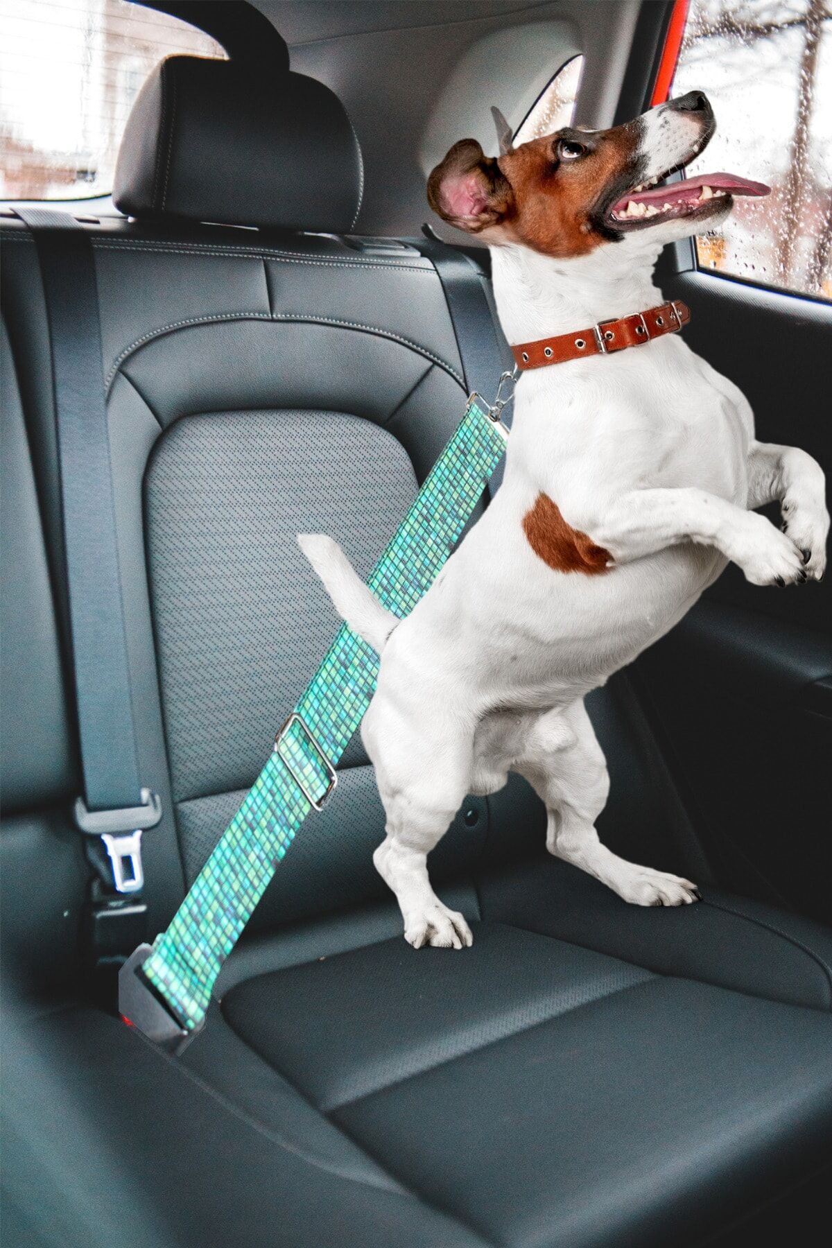 Tüm Araçlara Uyumlu Köpek Emniyet Kemeri