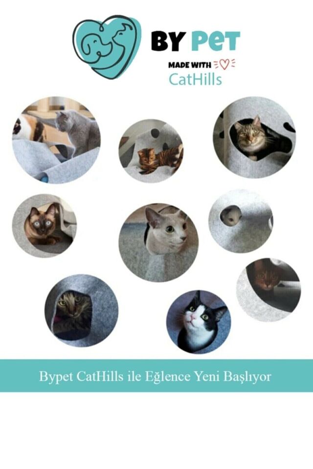 Bypet Cathills Interaktif Kedi Tepeleri Oyun Alanı Ve Saklanma Tüneli