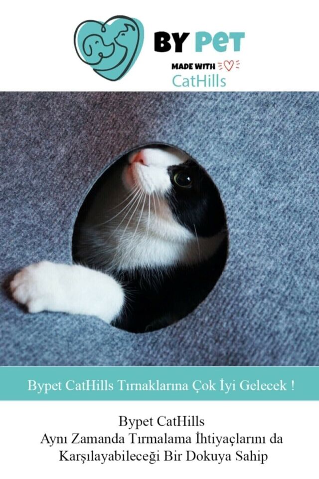 Bypet Cathills Interaktif Kedi Tepeleri Oyun Alanı Ve Saklanma Tüneli