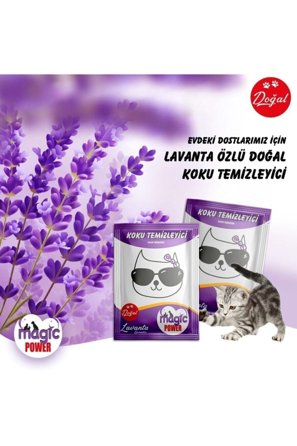 Toz Koku Giderici Lavanta 4 Adet