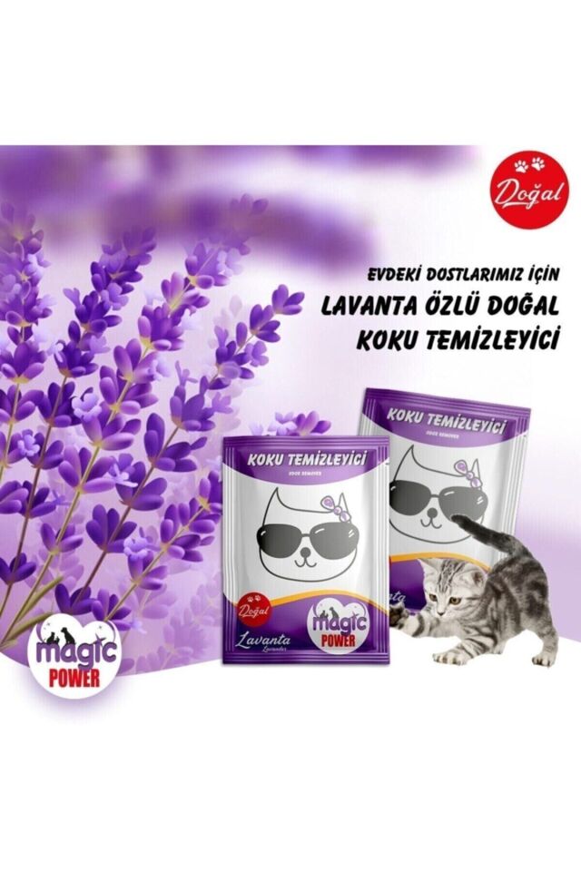 Toz Koku Giderici Lavanta 4 Adet