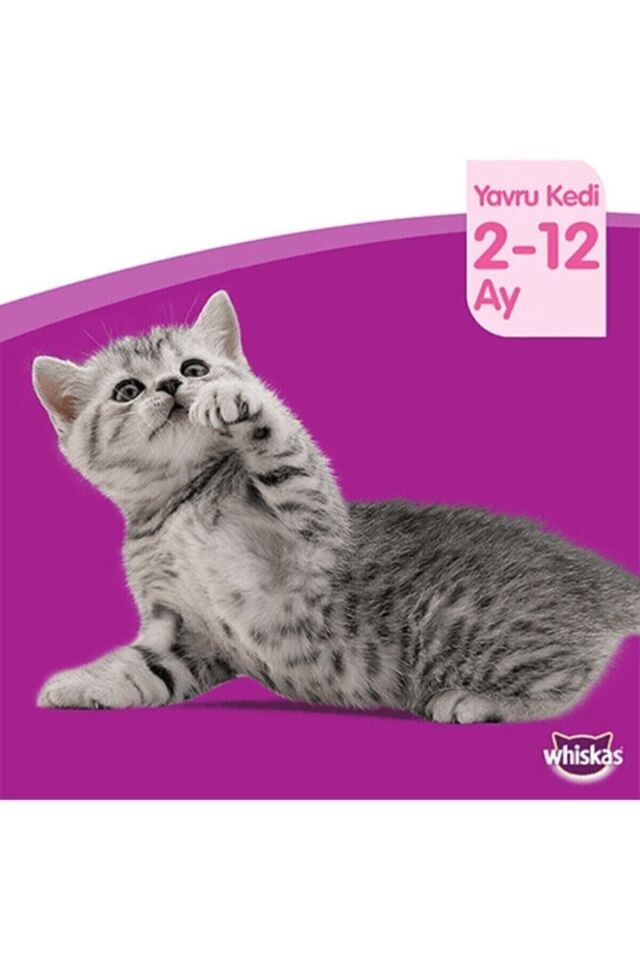 Whiskas Tavuklu Sebzeli 300 gr 7'li Paket Yavru Kuru Kedi Maması