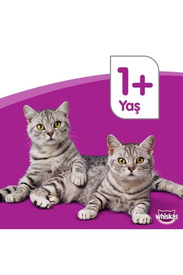 Whiskas Sığırlı (BİFTEKLİ) Kuru Kedi Maması 1+ Yaş 300 gram (7 ADET)