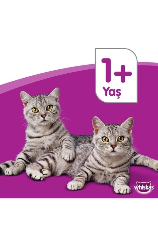 Whiskas Tavuklu Yavru Kuru Kedi Maması 300 gr (3 Adet)