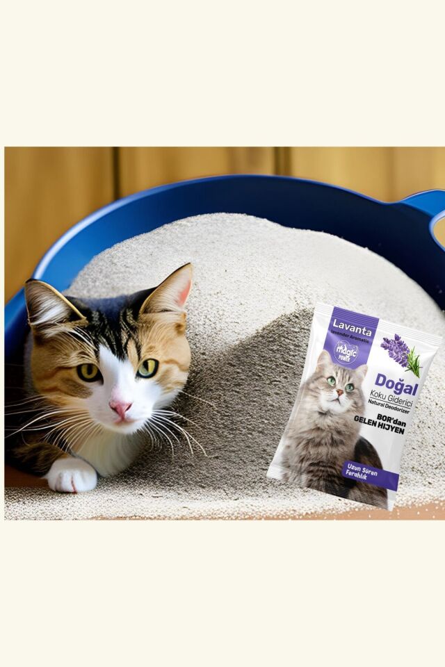 Lavanta Özlü Kedi Kumu Koku Temizleyici 5 Adet