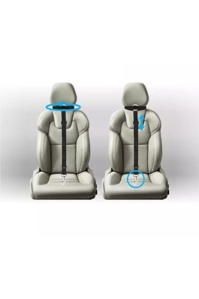 Bypet Köpek Emniyet Kemeri Ve Gezdirme Tasması - Tüm Araçlara Uyumlu - Köpek Araba Seyahat Kemeri