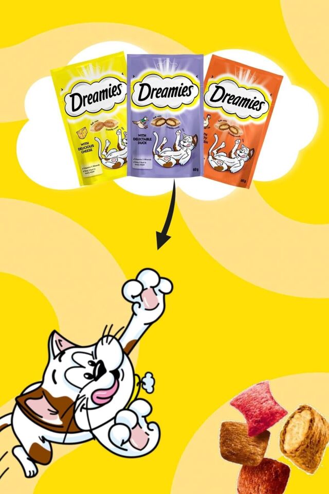 Kedi Ödül Maması Karışık 60 gr X 24 Adet