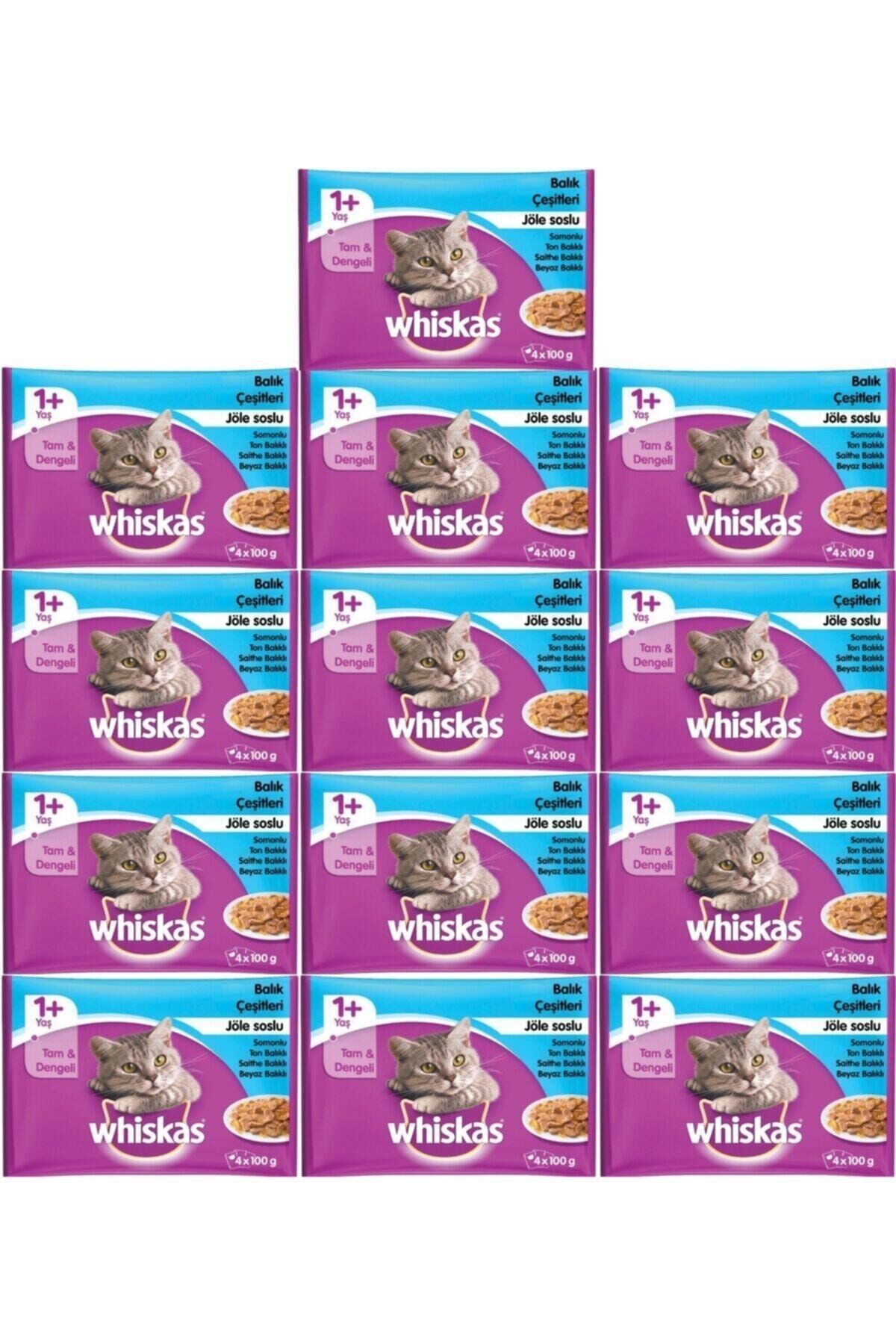 Yaş Kedi Maması Balık Çeşitleri 4x100 gr-13 Adet