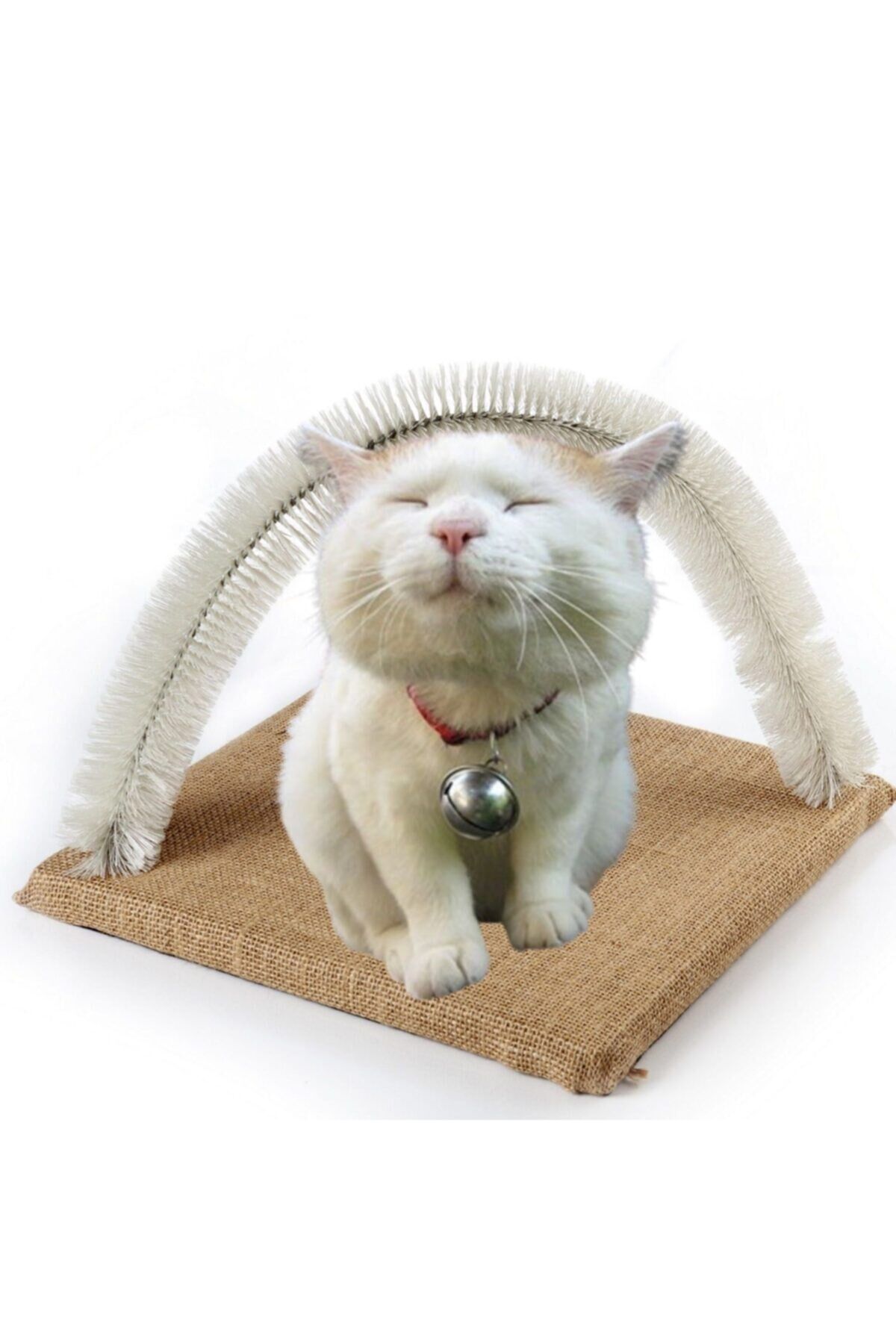 Fırçalı Kedi Kaşınma Sürtünme Ve Masaj tahtası-krem