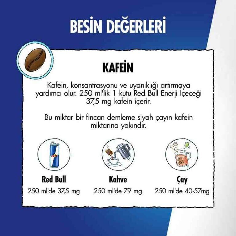 Red Bull Enerji İçeceği Hindistan Cevizi ve Açai 250 ml X 24'lü Paket