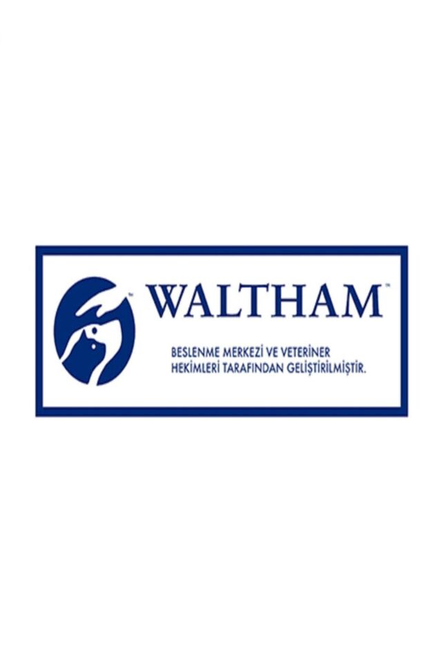 Whiskas Ton Balıklı Kuru Mama 3.8 Kg