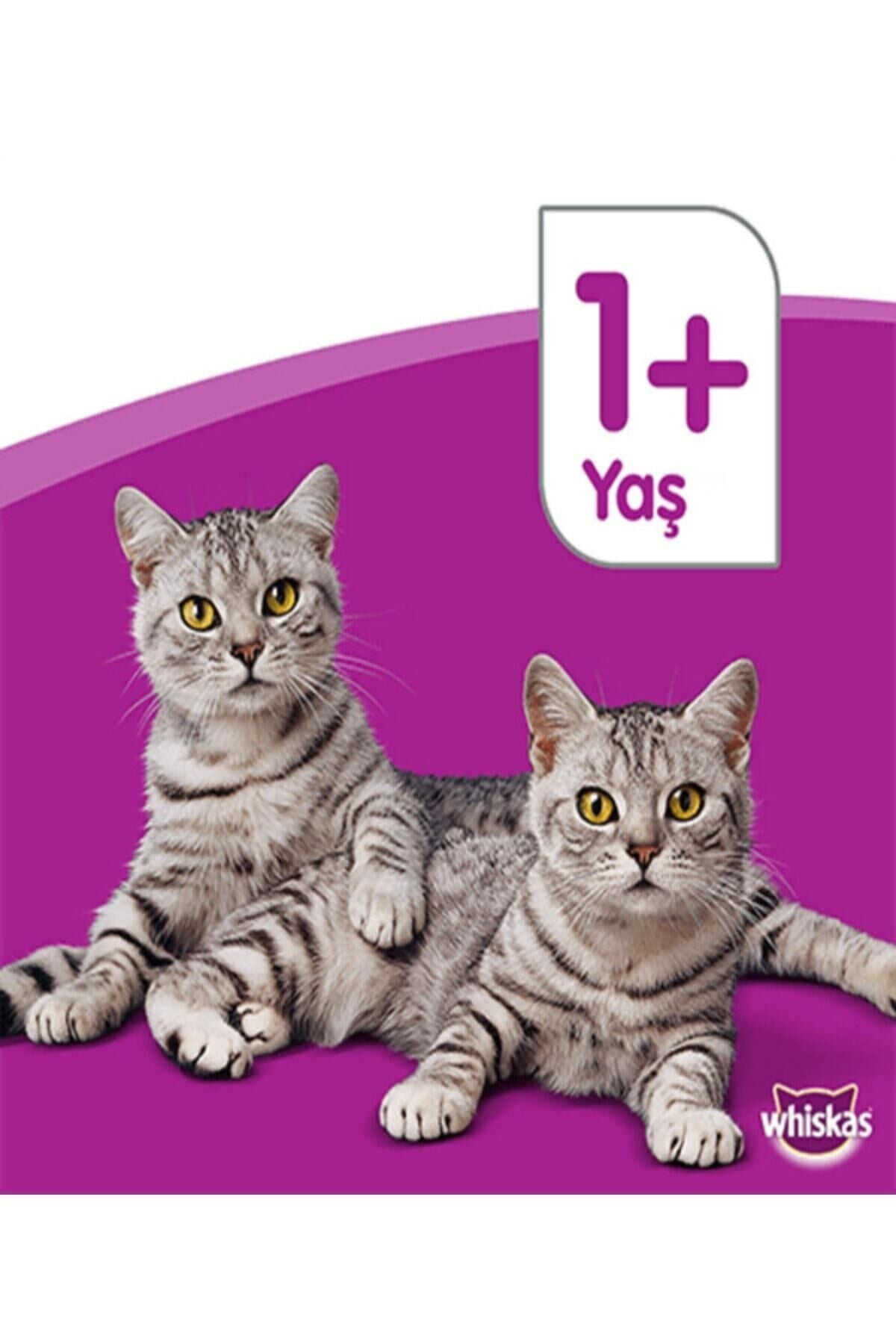 Whiskas Ton Balıklı Kuru Mama 3.8 Kg