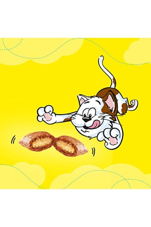 Kedi Ödül Maması Somonlu 60gr 6'lı Paket