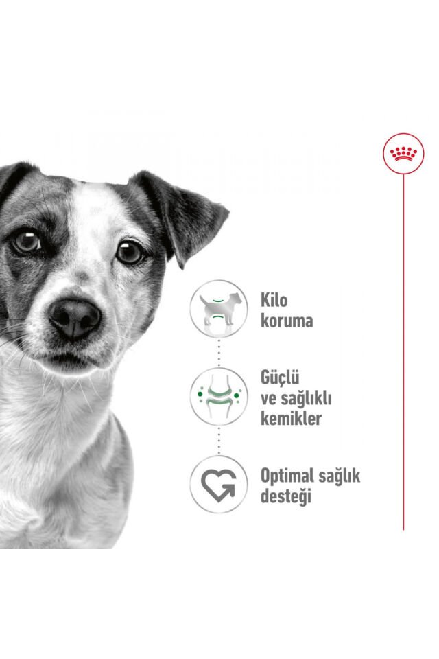 Mini Adult Küçük Irklar Için Yetişkin Kuru Köpek Maması 4kg
