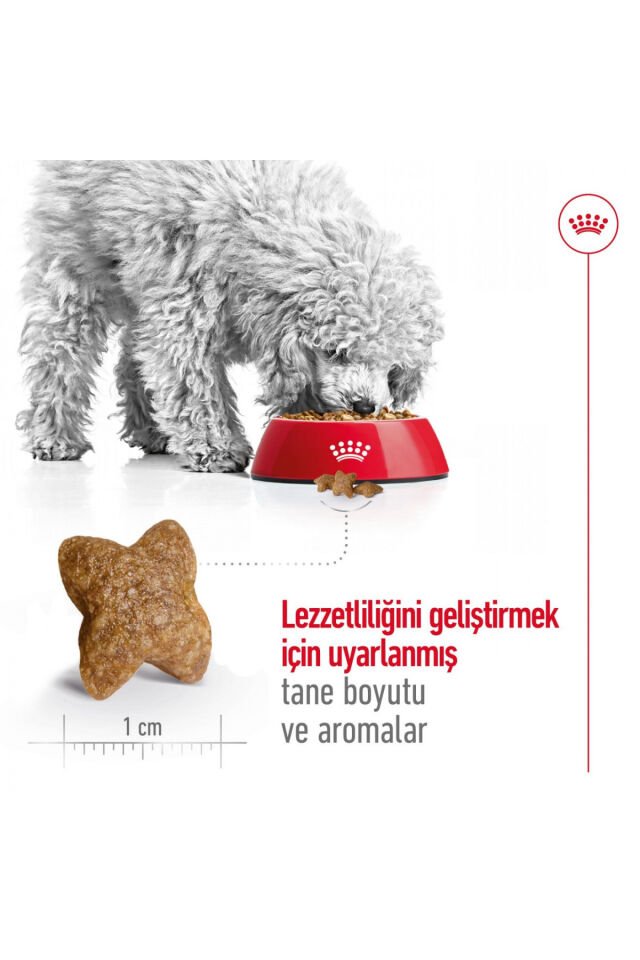 Mini Adult Küçük Irklar Için Yetişkin Kuru Köpek Maması 4kg