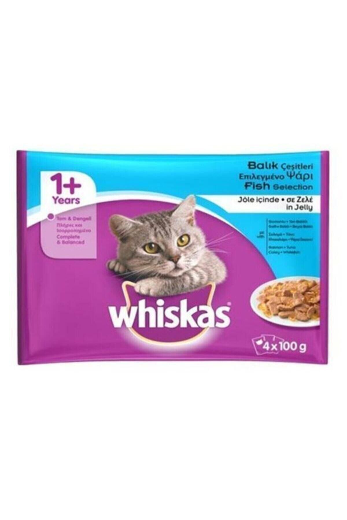 Pouch Balık Çeşitleri 4 Lü Paket Kedi Konserve 4 X 100 gr