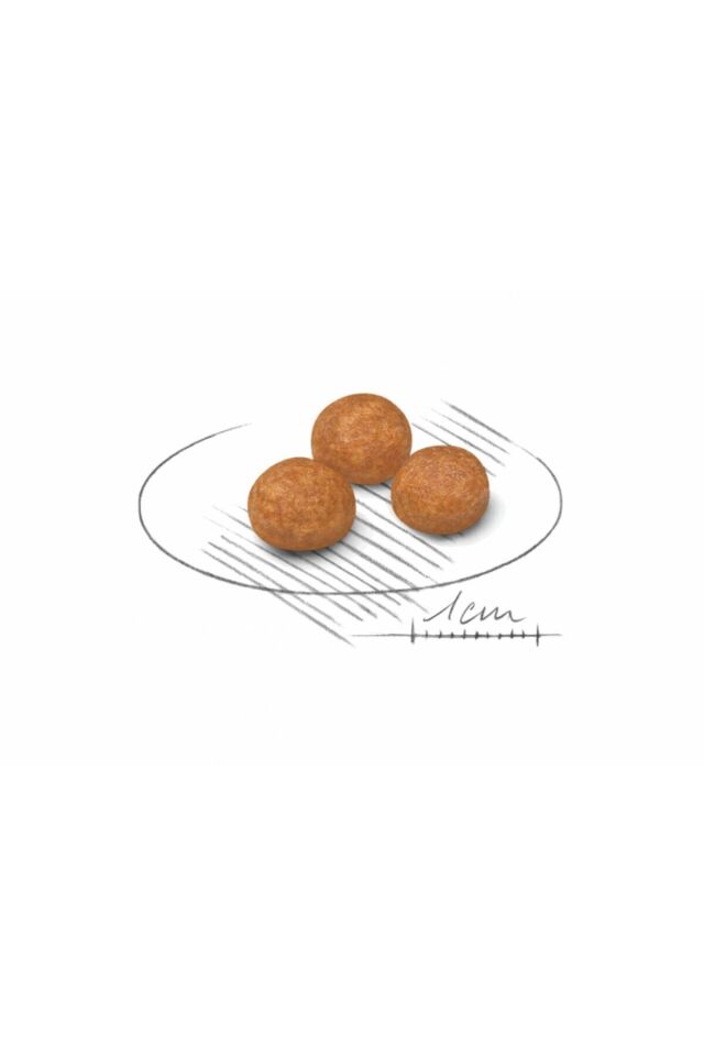 Xsmall Adult Yetişkin Köpek Maması 1.5 Kg