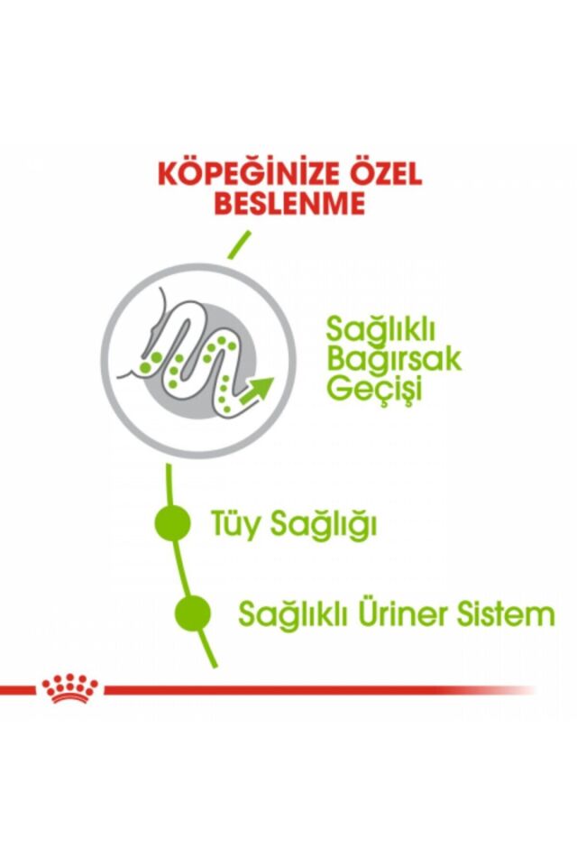 Xsmall Adult Yetişkin Köpek Maması 1.5 Kg