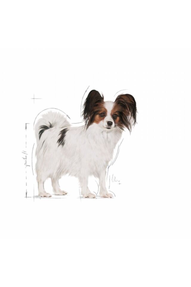 Xsmall Adult Yetişkin Köpek Maması 1.5 Kg