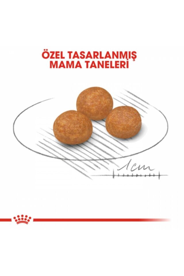 Xsmall Adult Yetişkin Köpek Maması 1.5 Kg