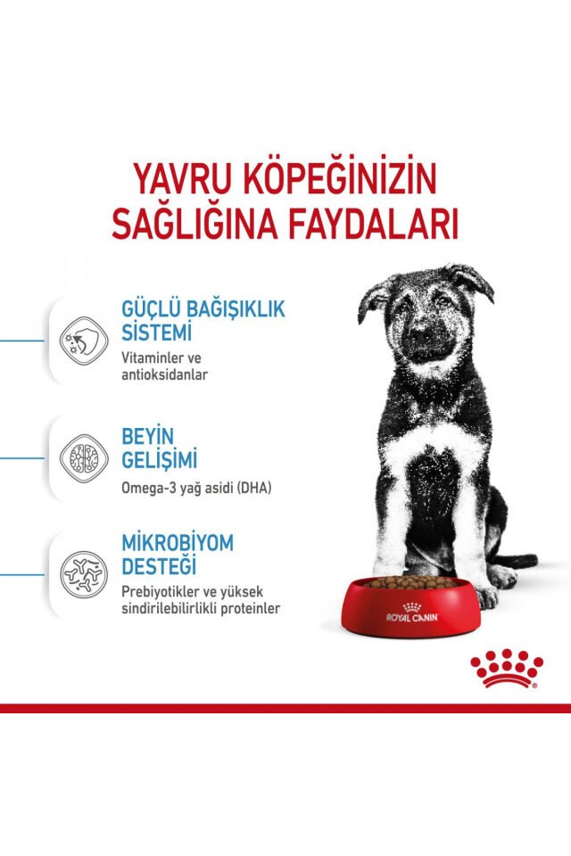 Büyük Irklar Için Yavru Kuru Köpek Maması 15kg