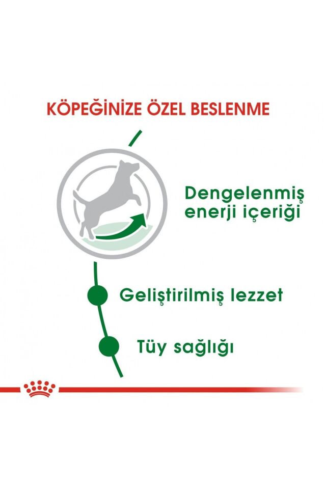 Küçük Irklar Için Yetişkin Kuru Köpek Maması 2kg