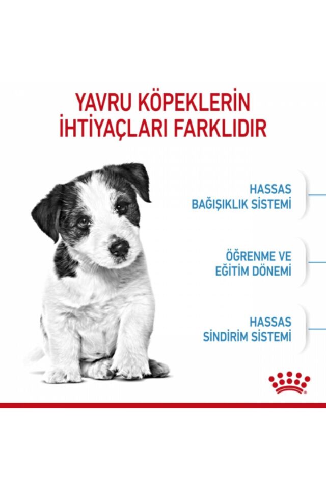 Mini Puppy Küçük Irklar Için Yavru Kuru Köpek Maması 2kg