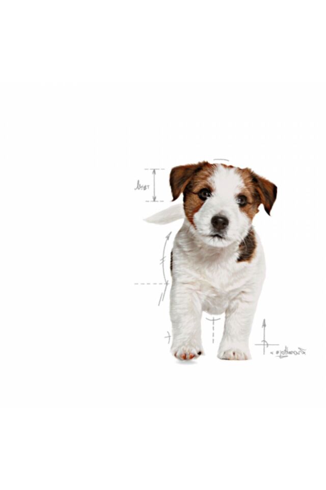 Mini Puppy Küçük Irklar Için Yavru Kuru Köpek Maması 2kg