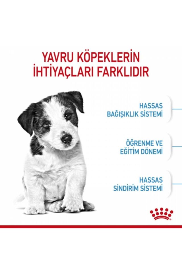 Mini Puppy Küçük Irklar Için Yavru Kuru Köpek Maması 2kg