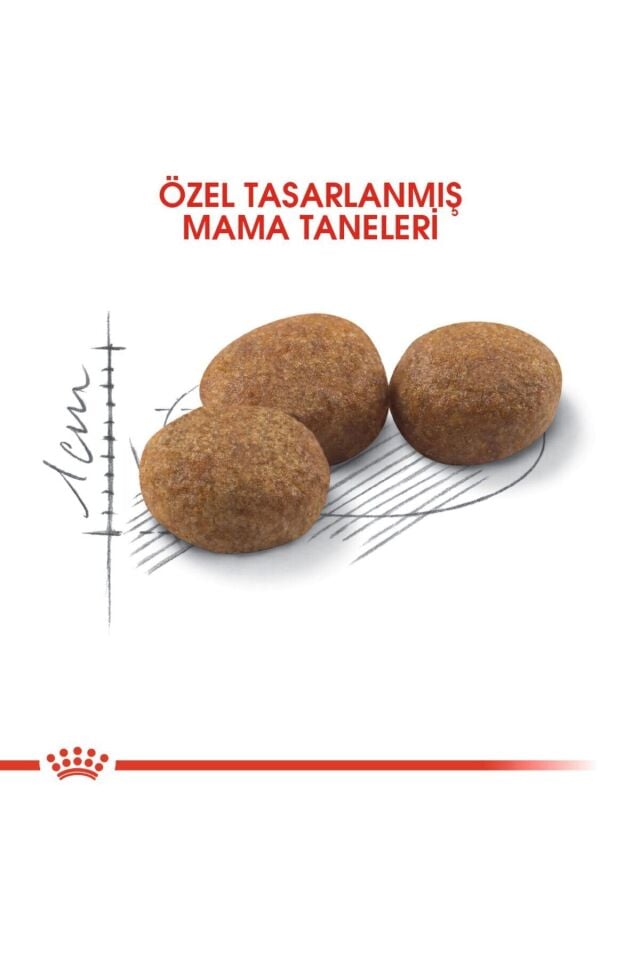 Sterilised 37 Kısırlaştırılmış Yetişkin Kedi Maması 4 Kg