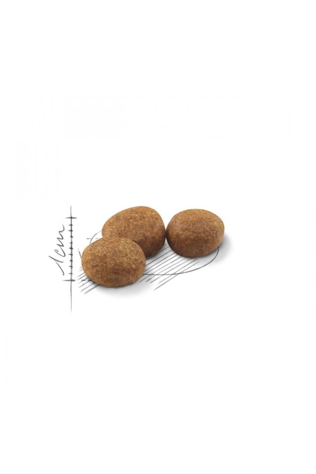 Sterilised37 Kısırlaştırılmış Kediler için Kuru Kedi Maması 2kg
