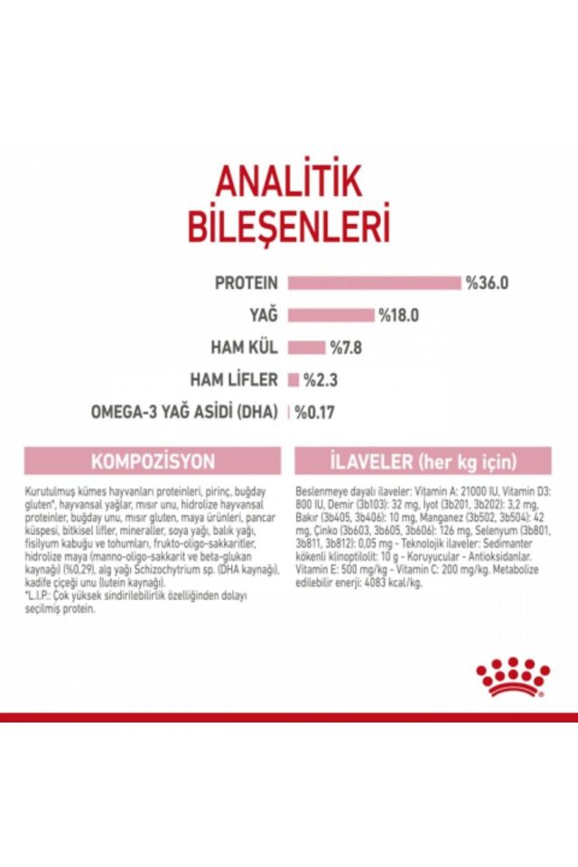 Kitten Yavru Kediler Için Kuru Kedi Maması 2kg