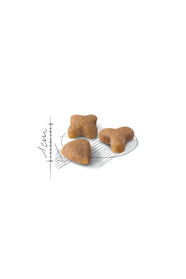 Sensible33 Sindirim Hassasiyeti Olan Kediler Için Yetişkin Kuru Kedi Maması 2kg