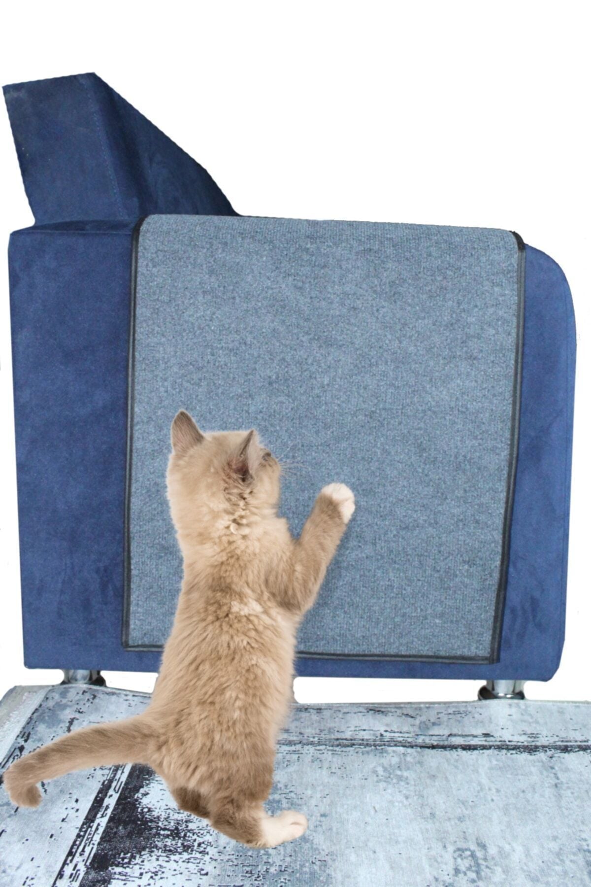 Bypet Koltuk Kenarı Koruyucu Kedi Tırmalama Halısı (50 CM X 100 CM) Mavi