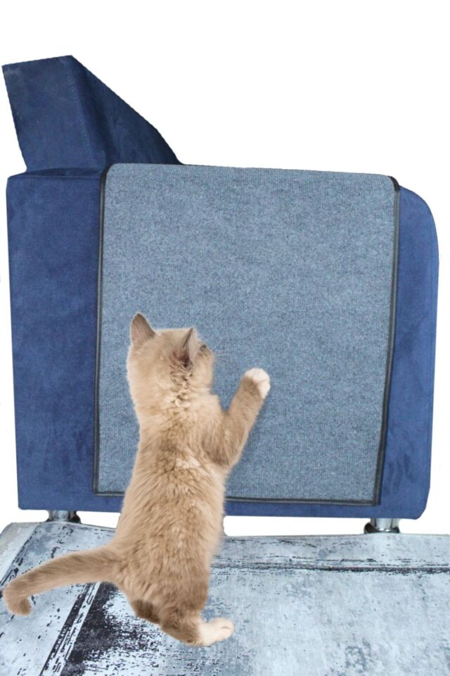 Bypet Koltuk Kenarı Koruyucu Kedi Tırmalama Halısı (50 CM X 100 CM) Mavi