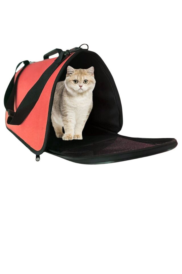 Bypet Kırmızı Kedi Taşıma Çantası Kırmızı
